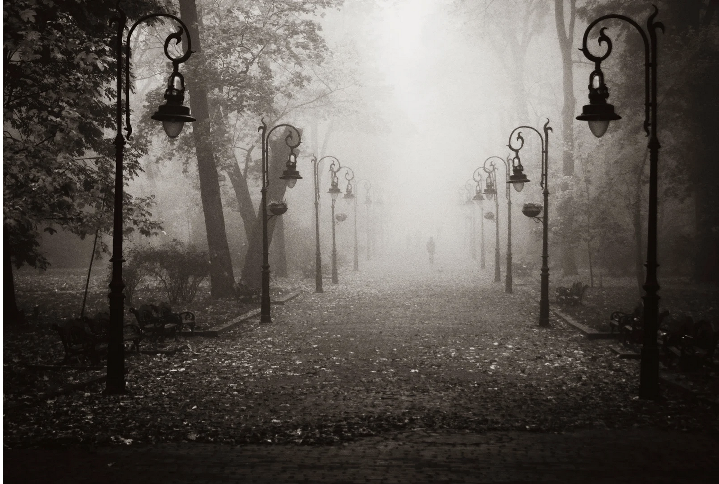 Old-fashioned Street Lamps covered in Fog